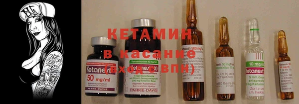 крисы Алексин