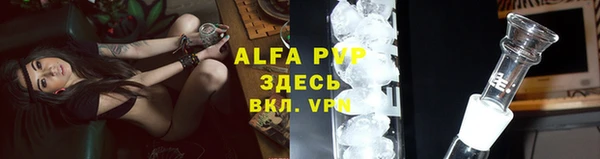 крисы Алексин