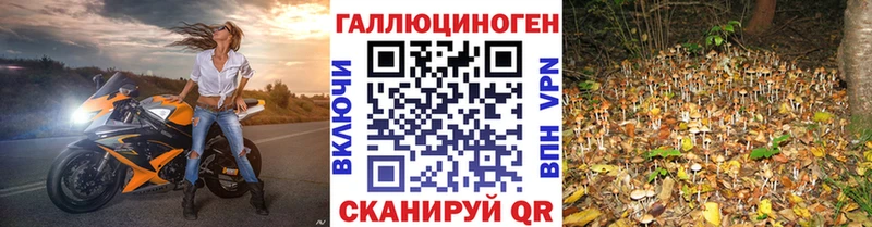 наркошоп  Крымск  Галлюциногенные грибы мухоморы 