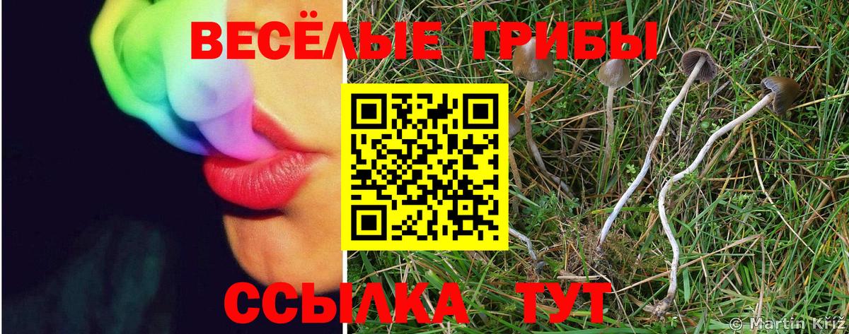Галлюциногенные грибы мицелий Крымск