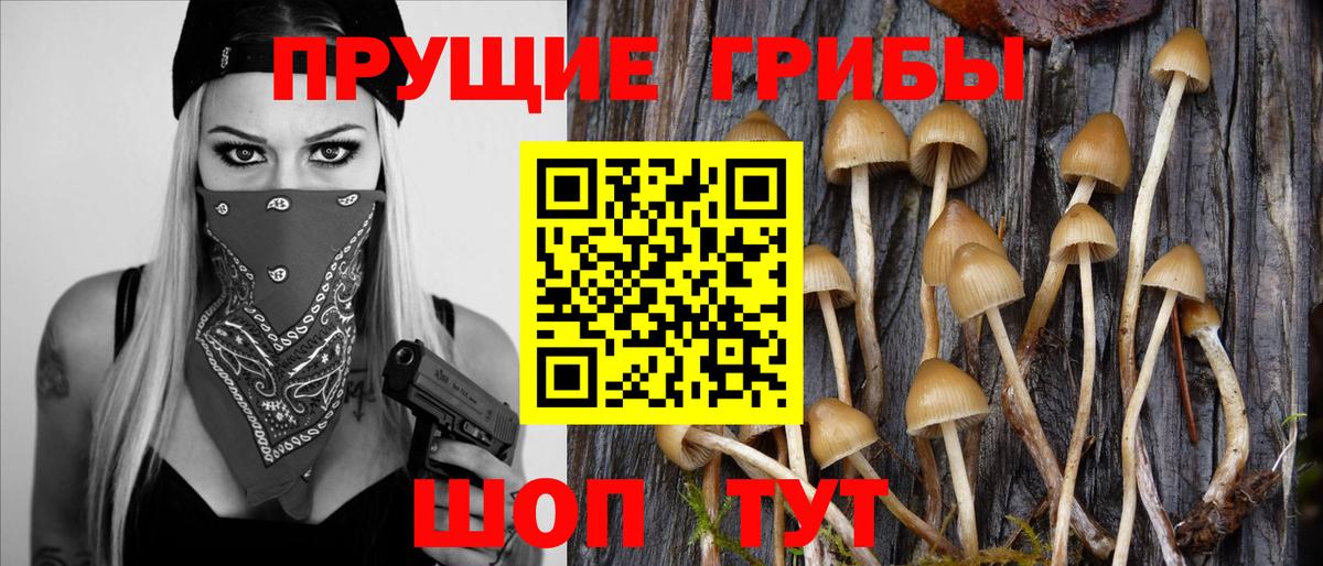 Крымск  Галлюциногенные грибы Magic Shrooms  Галлюциногенные грибы MAGIC MUSHROOMS  Вход с VPN 